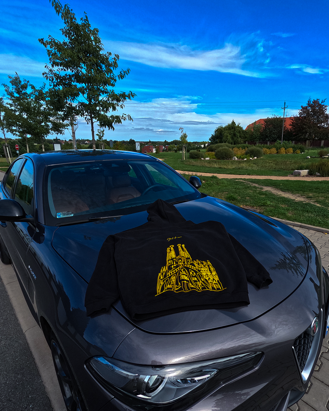Terreno Sagrada Familia Hoodie